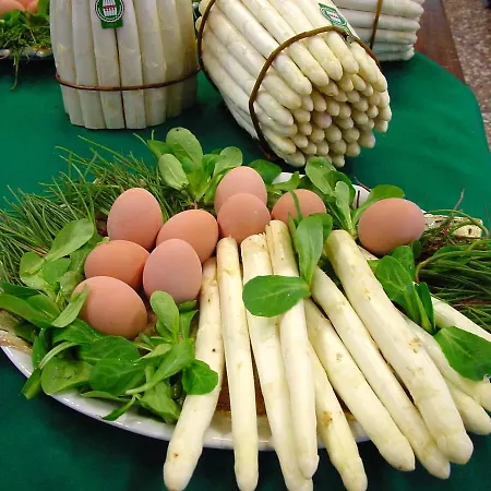 Bassano Up * Mussolente